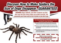 Project: Guardian Pest Control